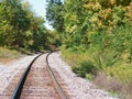 Railroad Tracks Royalty Free Stock Photo