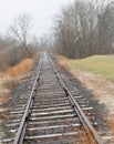 Railroad tracks running through woods