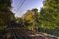 Railroad tracks through the forest Royalty Free Stock Photo