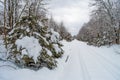 Railroad Tracks Snow Covered Royalty Free Stock Photo