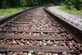 Railroad tracks stretch into forest Royalty Free Stock Photo