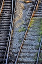 Railroad tracks Royalty Free Stock Photo