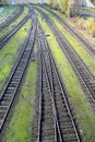 Railroad tracks, with switch harp Royalty Free Stock Photo