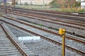 Railroad tracks and Switches - Image Royalty Free Stock Photo