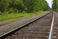 Railroad, train tracks in forest, toward horizon Royalty Free Stock Photo