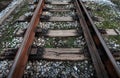 Railroad trucks at the time of sunset