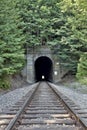 Railroad tunnel with foliage