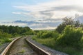 Railroad turns among the green trees in the summer Royalty Free Stock Photo
