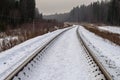 Railroad in winter forest