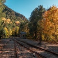 Rails in a beautiful forest in the autumn during daytime Royalty Free Stock Photo