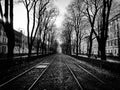 Rails black White trees city Royalty Free Stock Photo