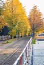 Rails into the distance in an autumn park with yellow leaves on trees Royalty Free Stock Photo