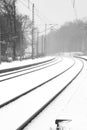 Rails in foggy snow Royalty Free Stock Photo