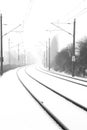 Rails in foggy snow Royalty Free Stock Photo