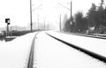 Rails in foggy snow Royalty Free Stock Photo