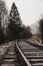 Rails in foggy weather Royalty Free Stock Photo