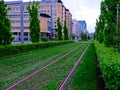 Rails in a green lawn during daytime in Oslo.Norway
