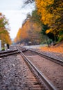 Rails leaving in beautiful yellow autumn