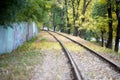 Rails for an old idle loren train in the forest Royalty Free Stock Photo