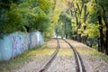 Rails for an old idle loren train in the forest Royalty Free Stock Photo