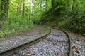 rails for an old idle loren train in the forest