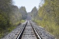 Rails of a railroad in the forest with concrete sleepers.