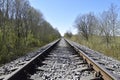 Rails of a railroad in the forest with concrete sleepers.