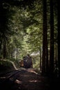 Rails in the redwood forest California Royalty Free Stock Photo