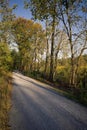 Rails to trails corridor on a sunny late afternoon autumn day.