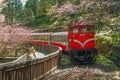 Railway in alishan forest recreation area, taiwan