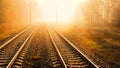 Railway in autumn blurred forest at dawn Royalty Free Stock Photo