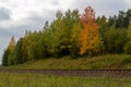 Railway in the autumn forest. Autumn forest Royalty Free Stock Photo