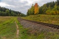 Railway in the autumn forest. Autumn forest Royalty Free Stock Photo