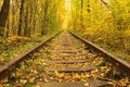 A railway in the autumn forest. Famous Tunnel of love formed by trees. Klevan, Rivnenska obl. Ukraine Royalty Free Stock Photo