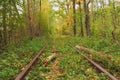 A railway in the autumn forest. Famous Tunnel of love formed by trees. Klevan, Rivnenska obl. Ukraine Royalty Free Stock Photo