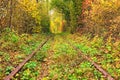 A railway in the autumn forest. Famous Tunnel of love formed by trees. Klevan, Rivnenska obl. Ukraine Royalty Free Stock Photo