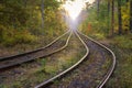 Railway in the autumn forest Royalty Free Stock Photo