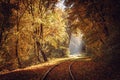 Railway in colorful forest in autumn on sunny day