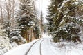 The railway between Bakuriani and Borjomi Royalty Free Stock Photo