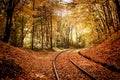 Railway in forest in autumn with colorful leaves