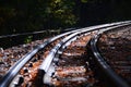 Railway in beautiful autumn forest