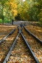 Railway in beautiful autumn forest