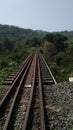 railway bridge in beautiful indian jungle