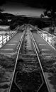 A railway bridge on a bog over the river shannon