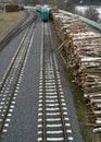 Railway. Cars with firewood. Forest transportation Royalty Free Stock Photo
