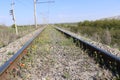 The railway is covered with wild flowers in spring