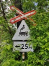 Railway crossing road sign train sign in leaves Royalty Free Stock Photo