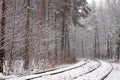 Railway in forest Royalty Free Stock Photo