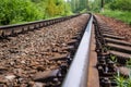 Railway in the forest