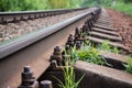 Railway in the forest